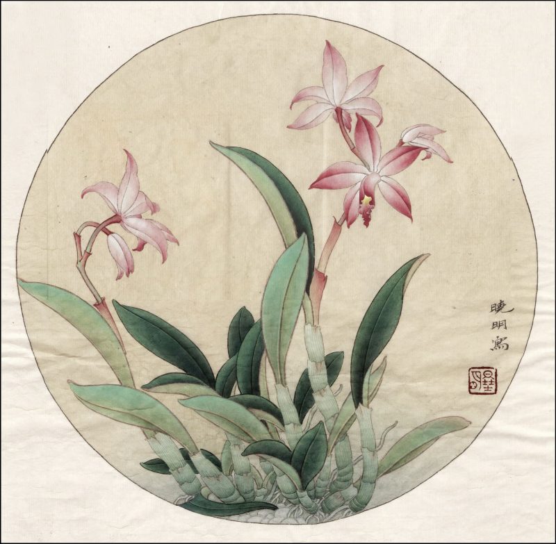 卡特兰