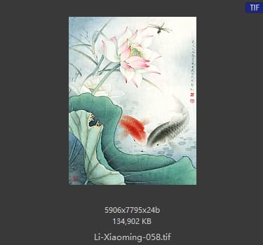 李晓明 双鲤荷花图