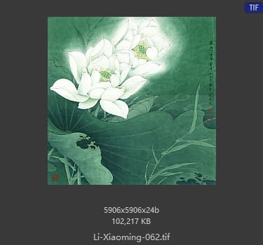 李晓明 圣洁之花