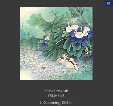 李晓明 安居乐业