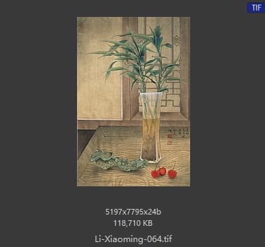 李晓明 富贵竹