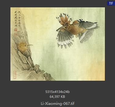 李晓明 戴胜西归