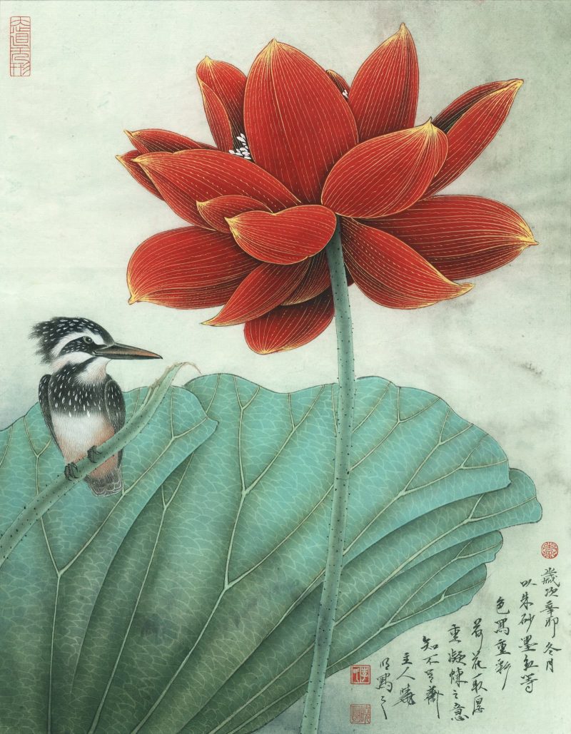 斑翠红荷图