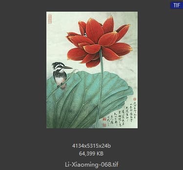 李晓明 斑翠红荷图