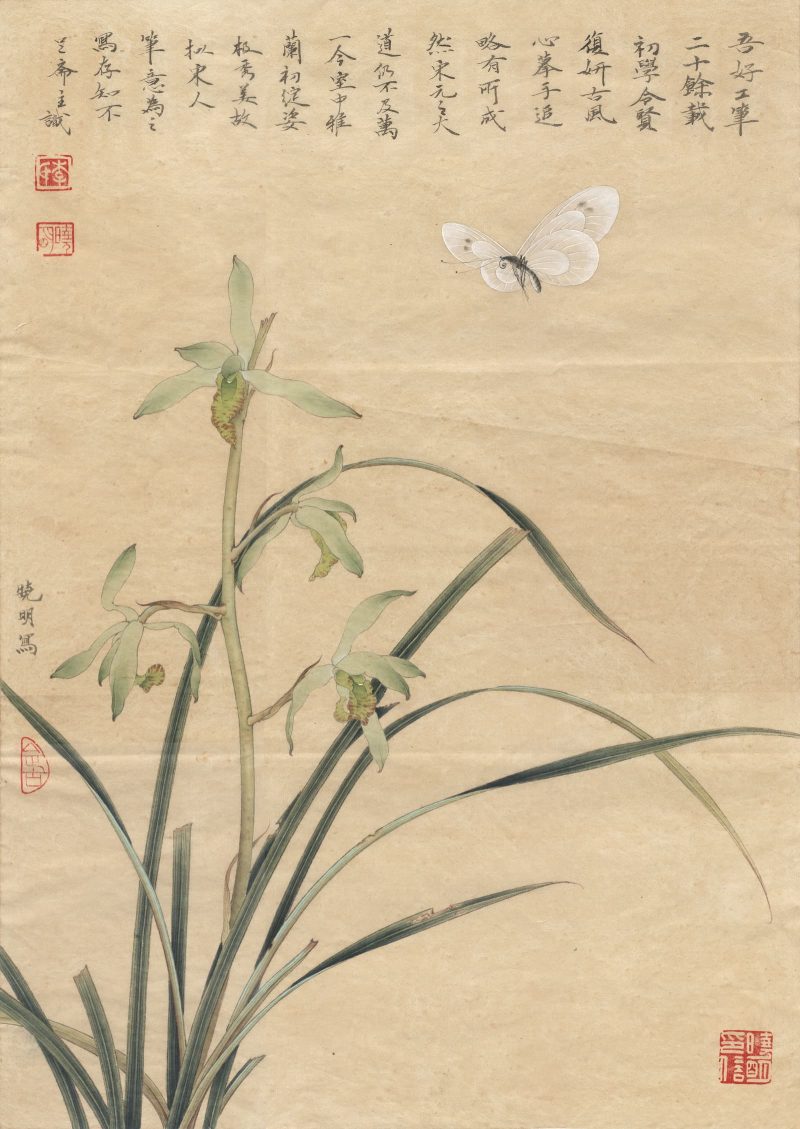 春兰嬉蝶图