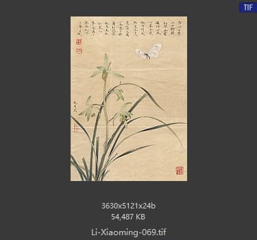 李晓明 春兰嬉蝶图