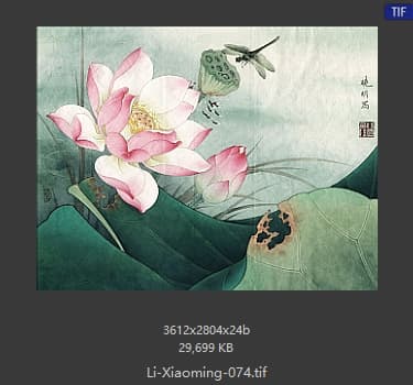 李晓明 暖风