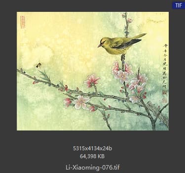 李晓明 桃花黄鸟图