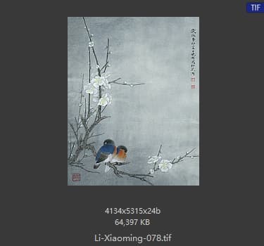 李晓明 梅兰竹菊四册页之1