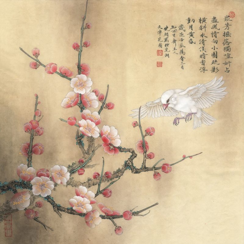 梅花小鸟