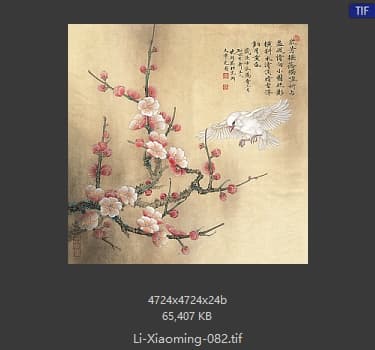 李晓明 梅花小鸟