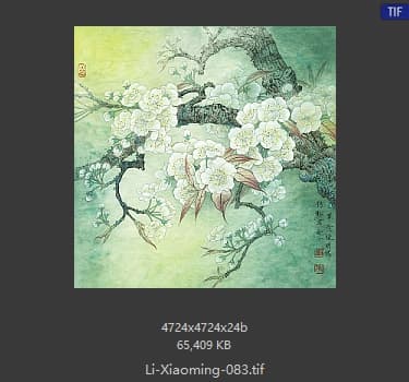 李晓明 梨花小品