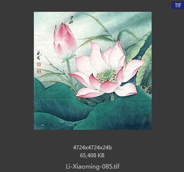 李晓明 水上芙蓉