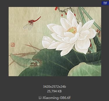 李晓明 沐夏
