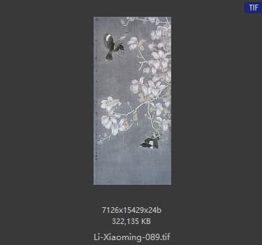 李晓明 玉兰八哥