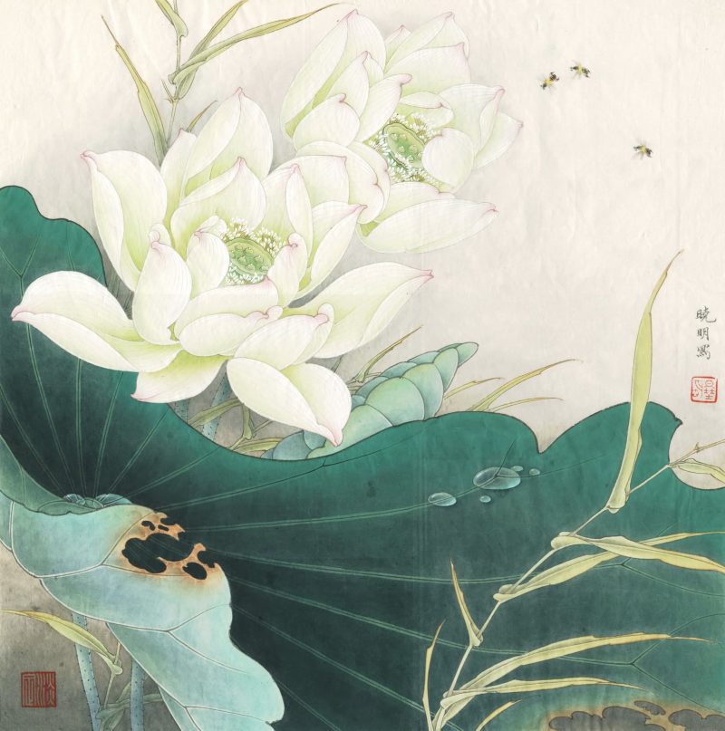 白荷亭亭
