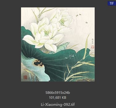 李晓明 白荷亭亭