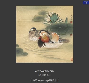 李晓明 睡莲鸳鸯