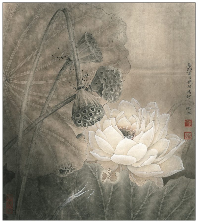 荷花册页-亘古
