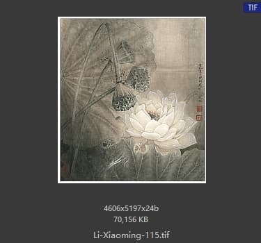 李晓明 荷花册页-亘古