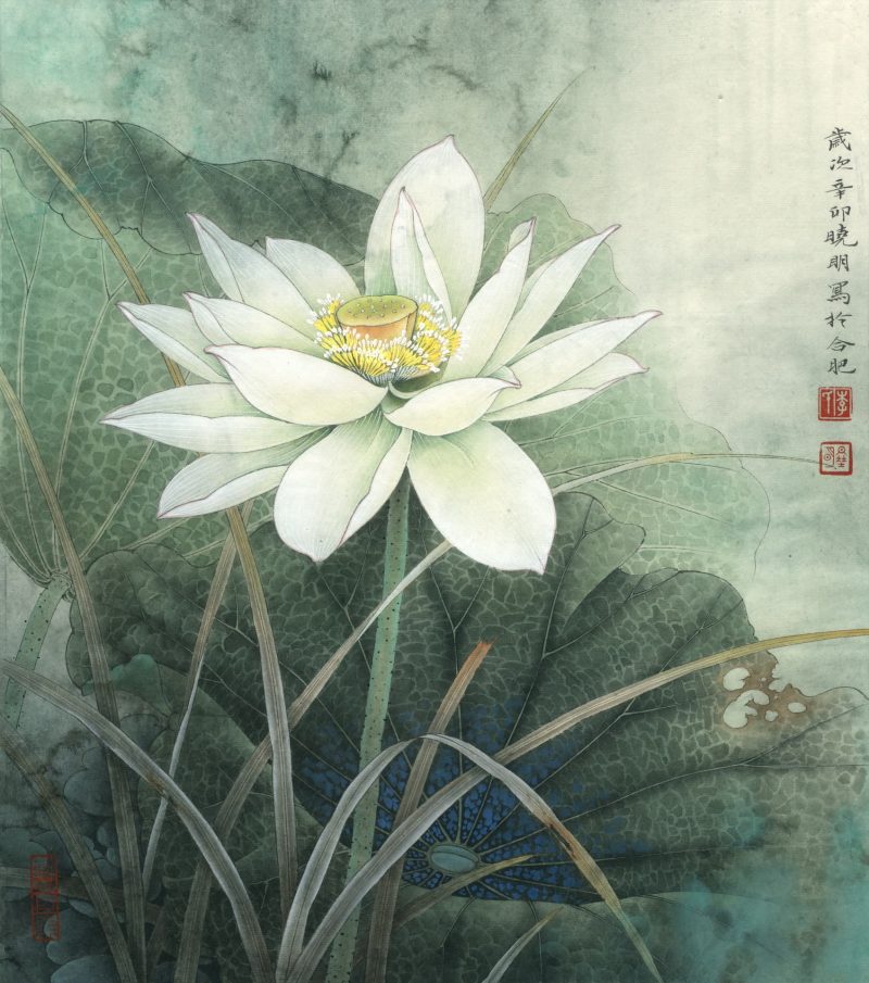 荷花册页-清雅荷韵