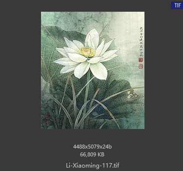 李晓明 荷花册页-清雅荷韵