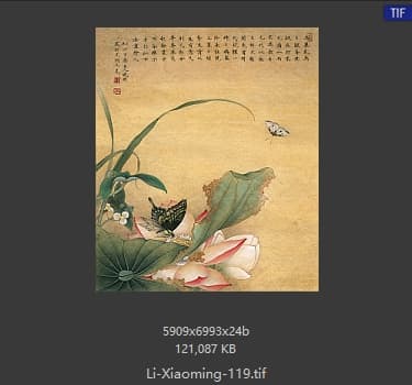李晓明 荷花双蝶