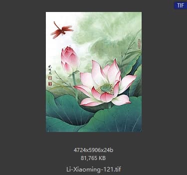 李晓明 荷花红蜻蜓