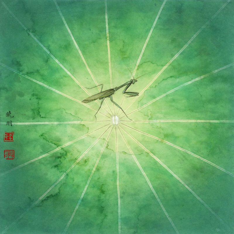 莲之舞