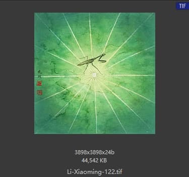 李晓明 莲之舞
