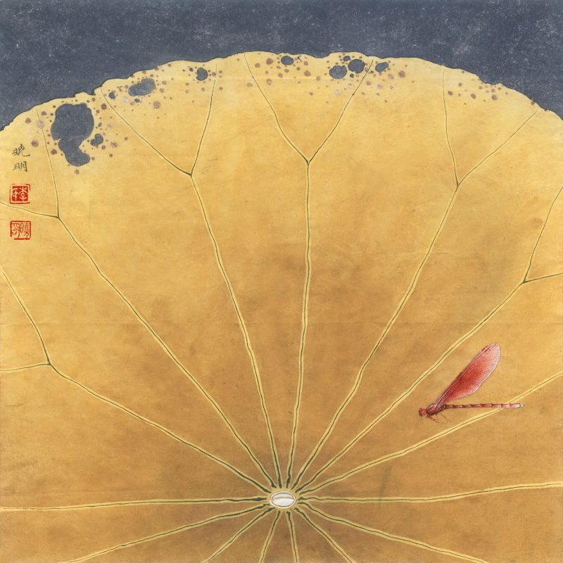 莲之舞