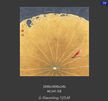 李晓明 莲之舞