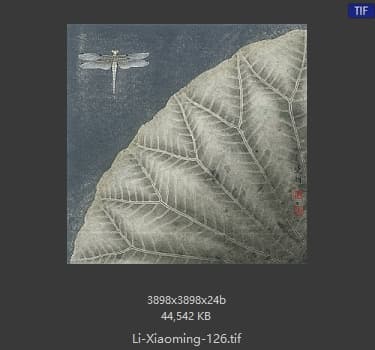 李晓明 莲之舞