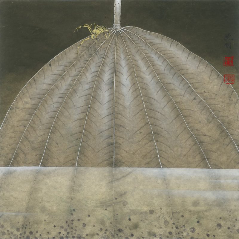莲之舞