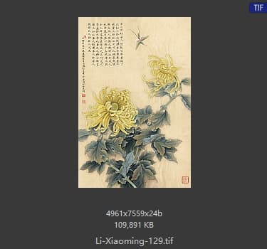 李晓明 菊花蚱蜢