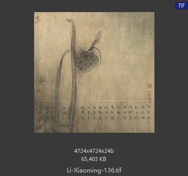 李晓明 豆娘残荷图