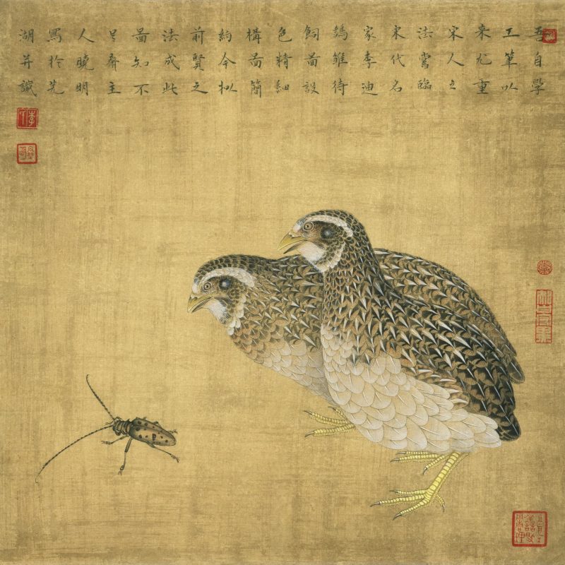 鹌鹑天牛