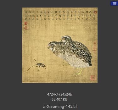 李晓明 鹌鹑天牛