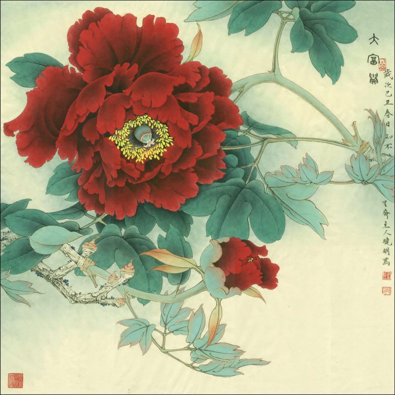 花鸟