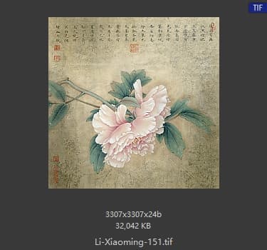 李晓明 花鸟