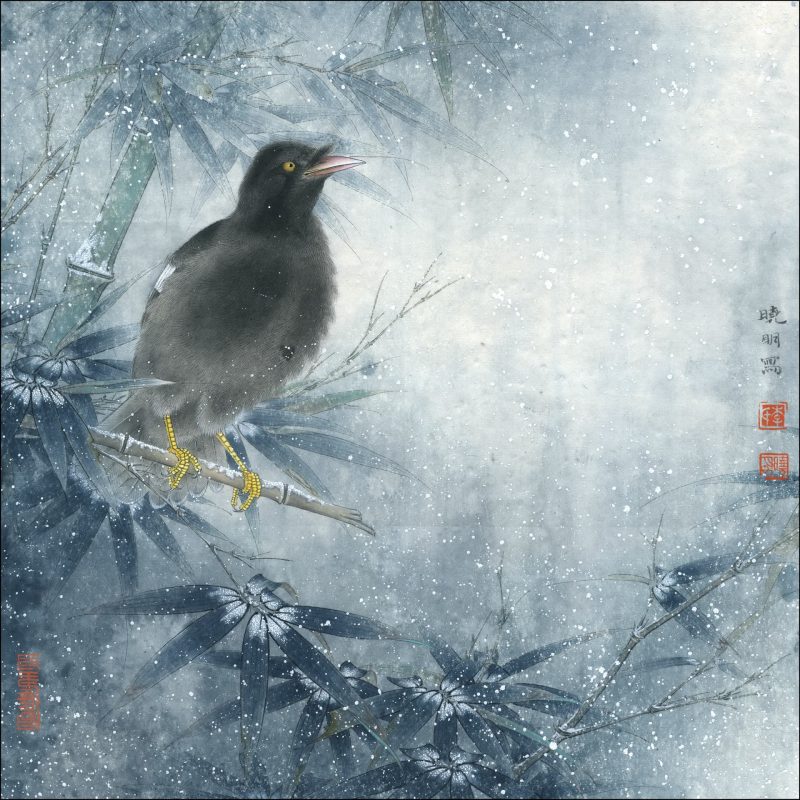 花鸟