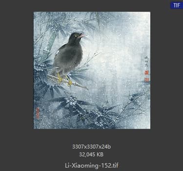 李晓明 花鸟