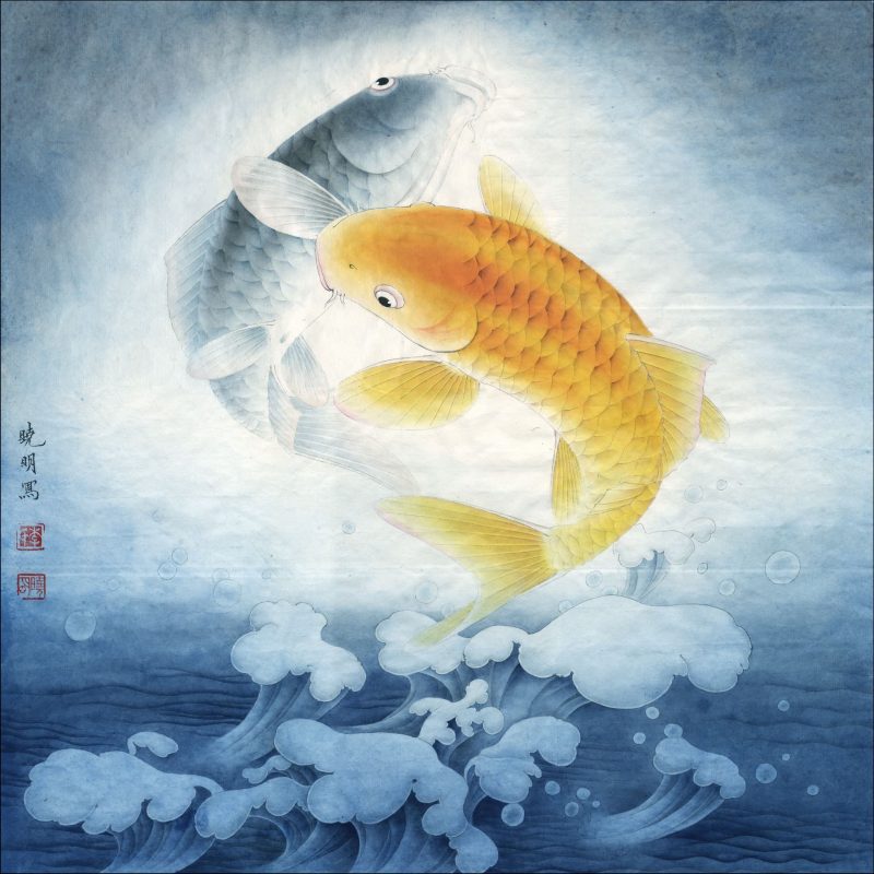 花鸟