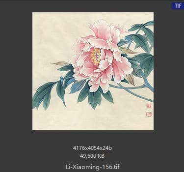 李晓明 花鸟