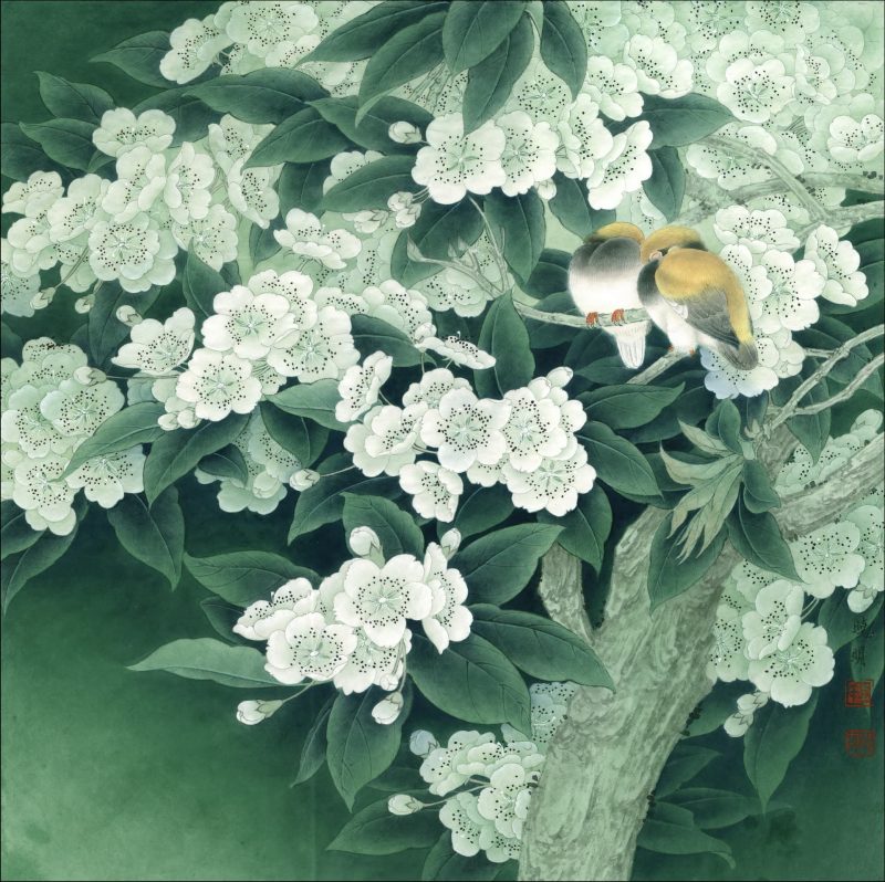 花鸟