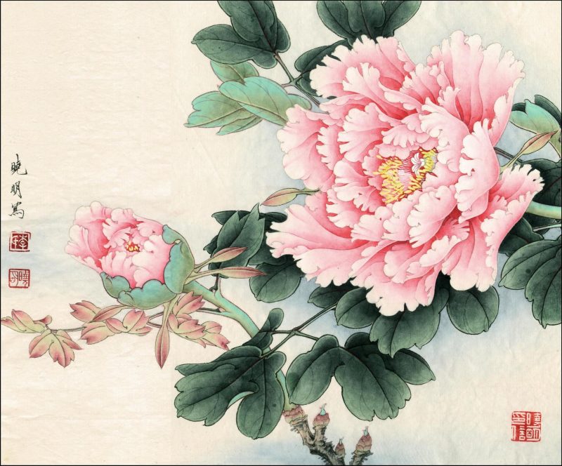 花鸟