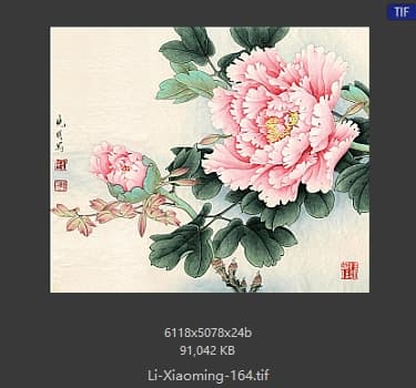 李晓明 花鸟