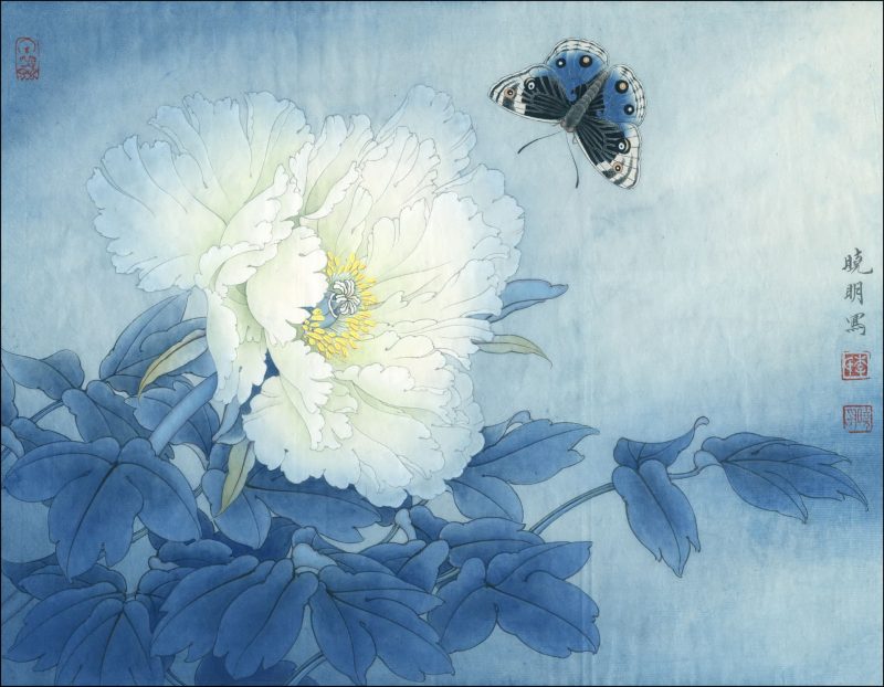 花鸟