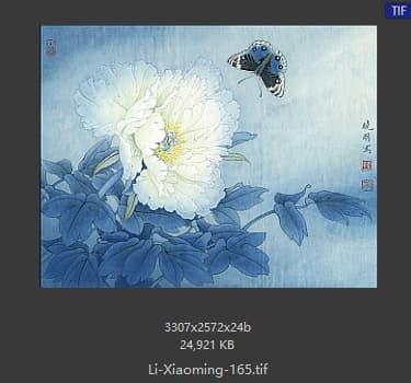 李晓明 花鸟