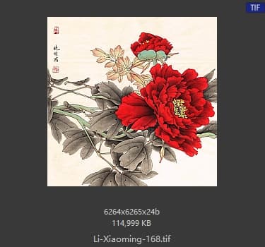 李晓明 花鸟